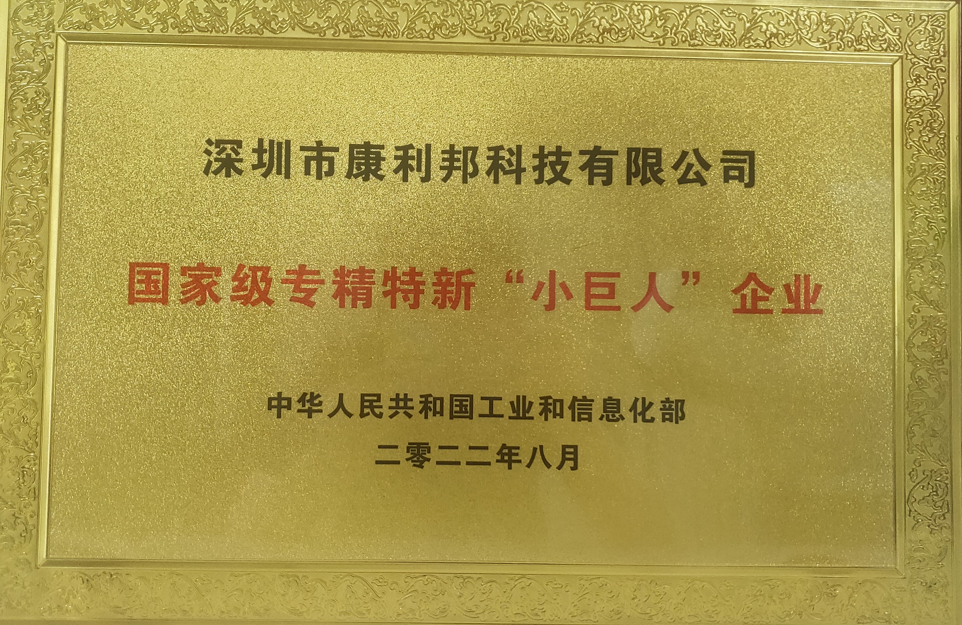國家工信部頒發的國家級專精特新“小巨人”